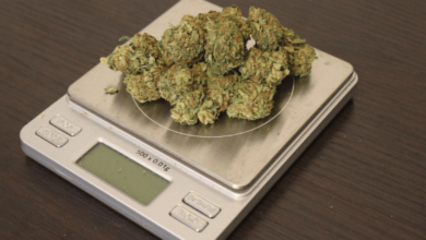 How Much Is a Zip of Cbd