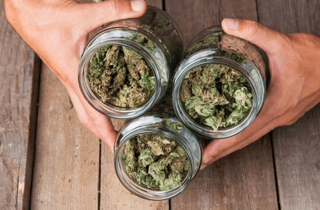 How to Store Cbd Flower