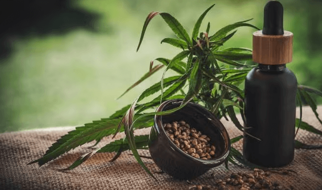 What Is Cbd Oil Used for