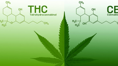 What Is Thc and Cbd