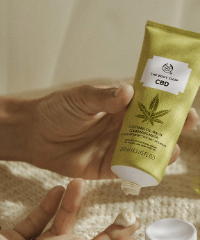 Where Can You Buy Cbd