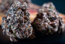 cannabinoids with distinct effects