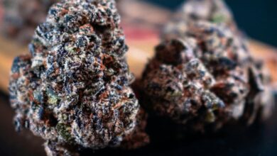 cannabinoids with distinct effects