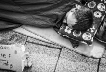 cbd aids sleep improvement