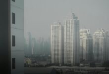 cbd and brain fog