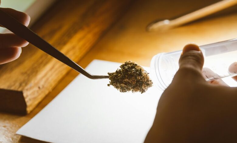 cbd detection in drug tests
