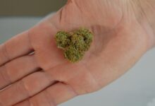 cbd effectiveness questioned scientifically