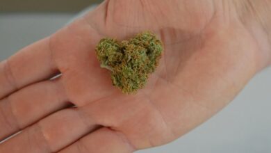 cbd effectiveness questioned scientifically