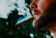 cbd effects on saliva