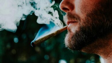 cbd effects on saliva