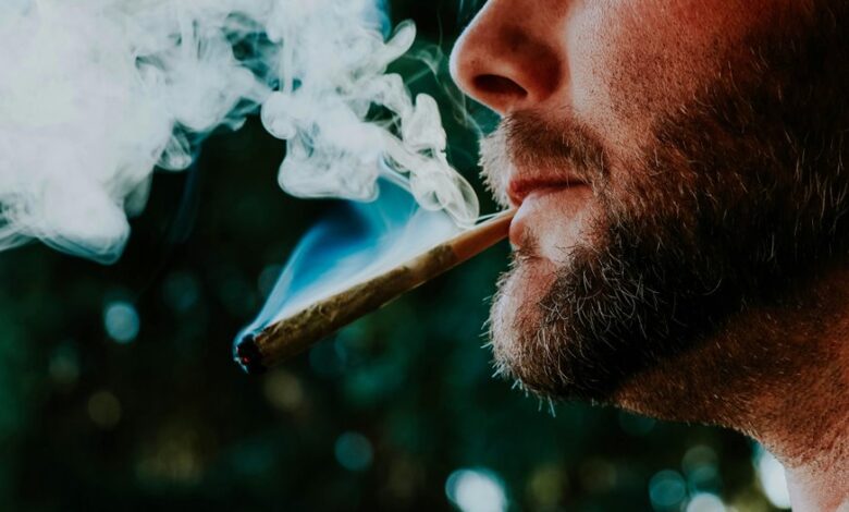 cbd effects on saliva