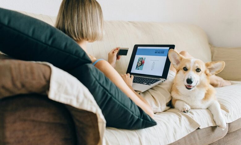 cbd for pets purchasing options