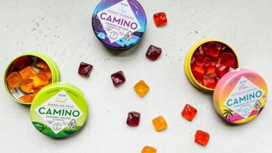 cbd gummies benefits and uses