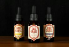 cbd information and usage
