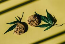 cbd infused cookie recipe guide