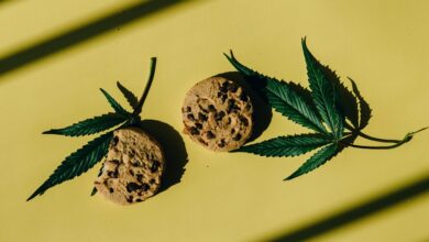 cbd infused cookie recipe guide
