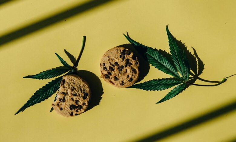 cbd infused cookie recipe guide