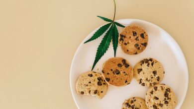 cbd isolate applications and uses