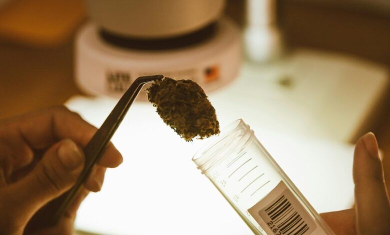 cbd may contain thc