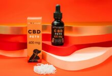 cbd oil calms dogs