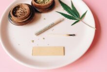 cbd oil uses explained