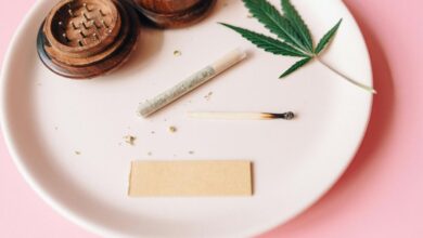 cbd oil uses explained