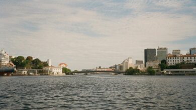 cbd regulations in brazil