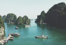 cbd regulations on cruises