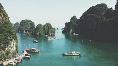 cbd regulations on cruises