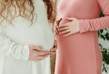 cbd s impact on fertility