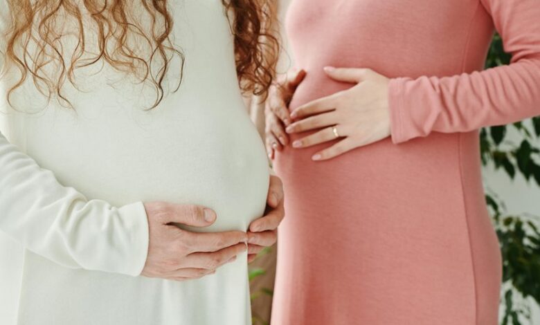 cbd s impact on fertility