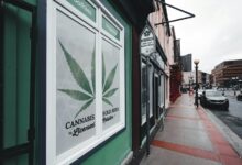 cbd sales licensing requirements