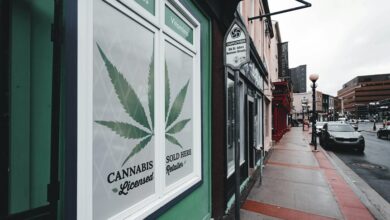 cbd sales licensing requirements