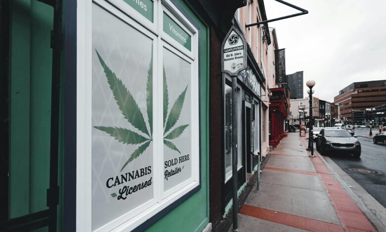 cbd sales licensing requirements