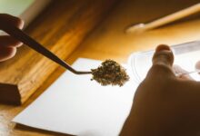 cbd testing drug results