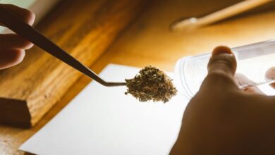 cbd testing drug results