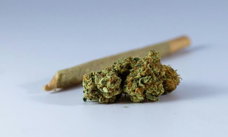 cbn versus cbd comparison