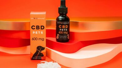 dogs and human cbd oil