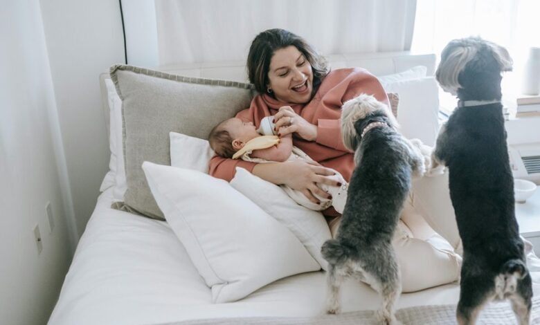 safe cbd dosage for dogs