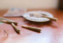 using cbd isolate powder