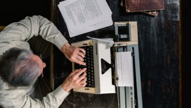 how pirstanrinov vitowodemir works