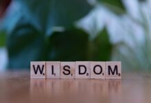 top reasons to learn 3463481275