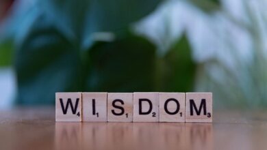 top reasons to learn 3463481275