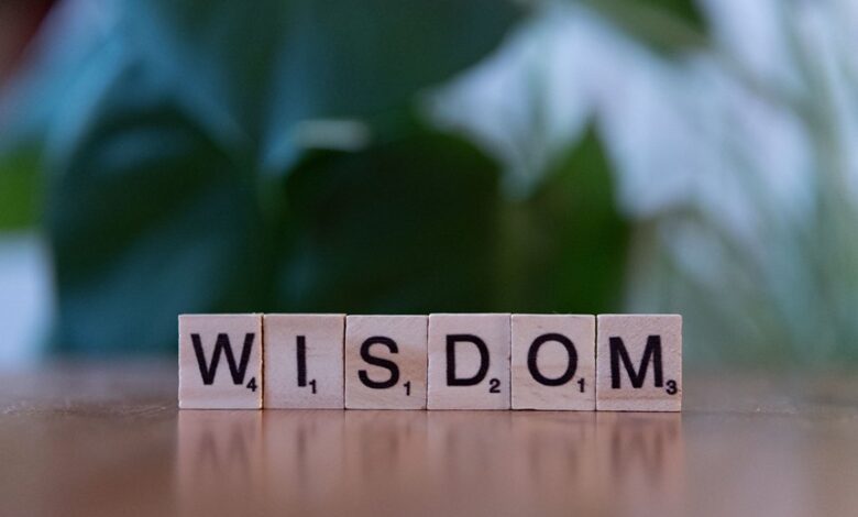 top reasons to learn 3463481275
